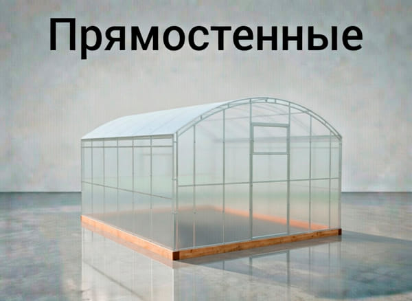 Прямостенные
